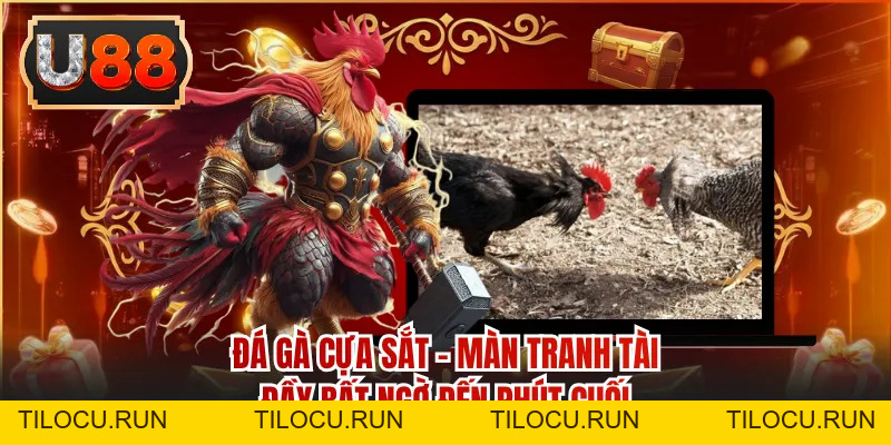 BLOG cá cược - U88 - Tilocu