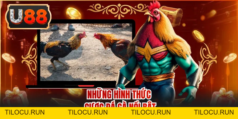 Đá Gà - Sảnh Cược Kịch Tính Với Tỷ Lệ Thưởng Hấp Dẫn - Tilocu